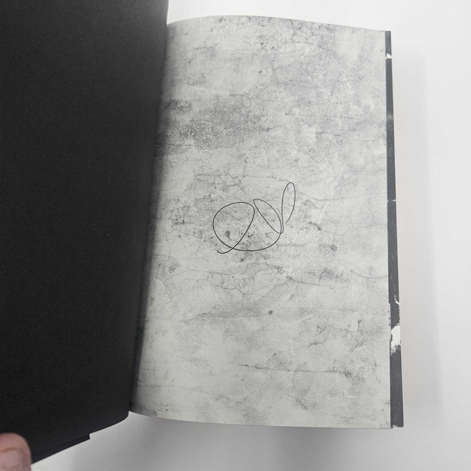 SIGNED! NEW! Brimstone Deluxe Limited Edition By Callie Hart Hardcover
