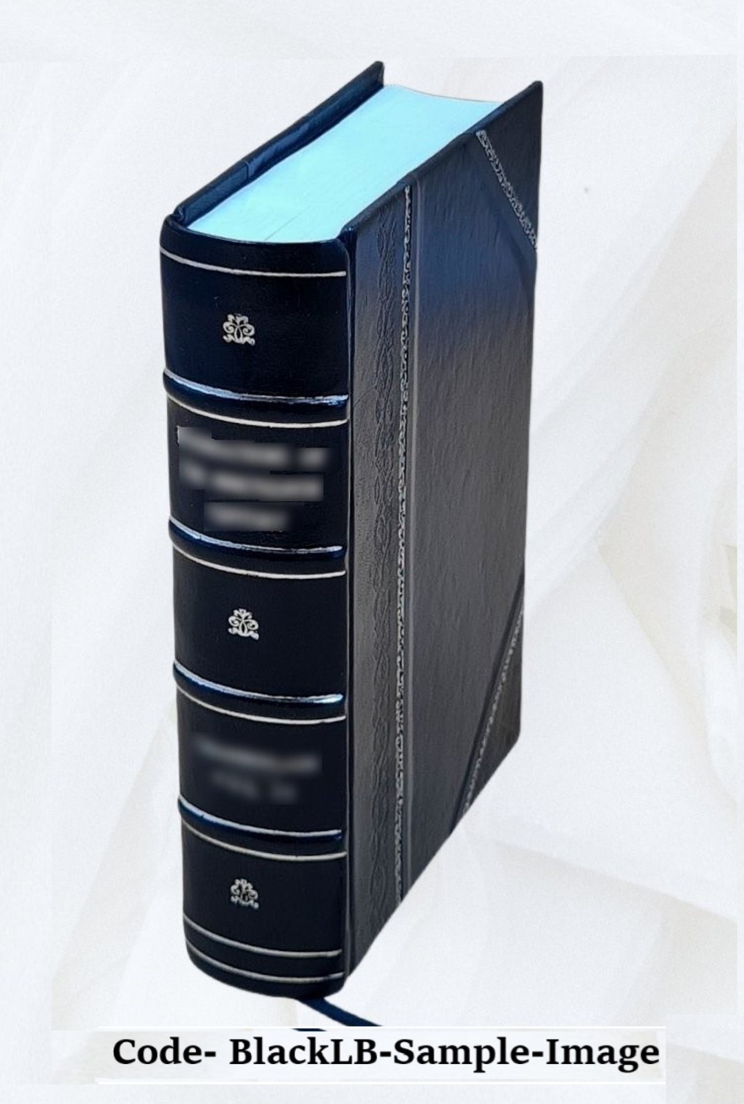 The Translated Bible 1534-1934 1934 by Martin Luther(Tr.) [Leather Bound]