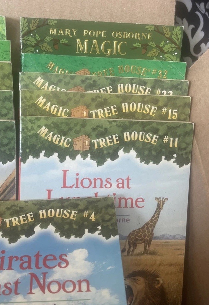 The Magic Treehouse books lot of 17