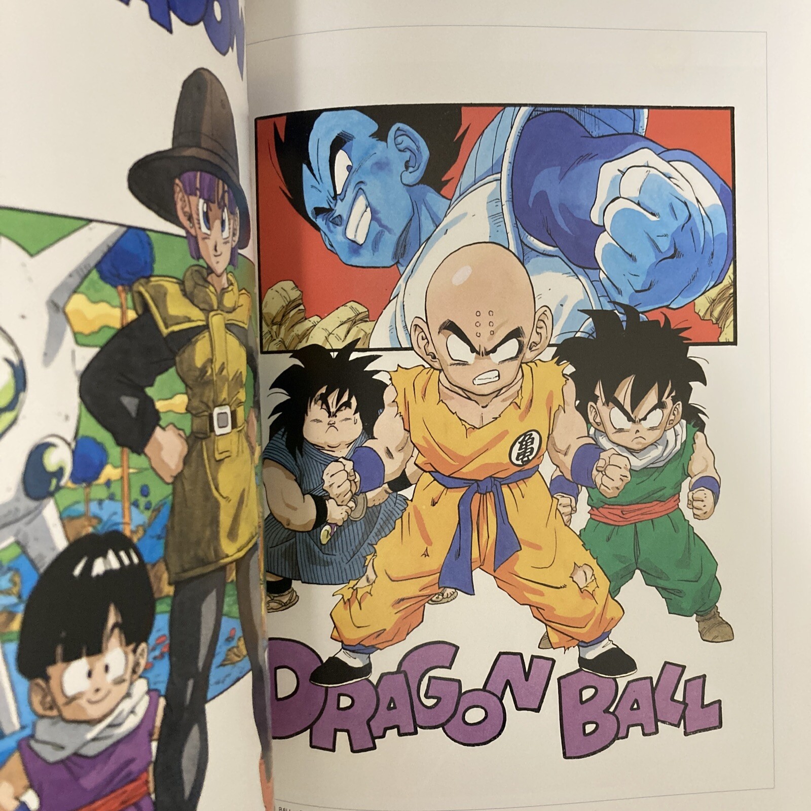 Akira Toriyama THE WORLD SPECIAL Art Book Illustration
