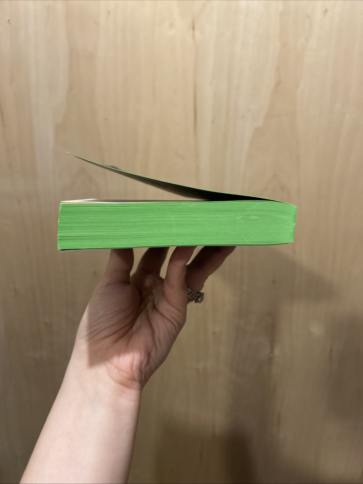 The Midnight Feast: Novel Lucy Foley Paperback – SPRAYED EDGE – First Edition