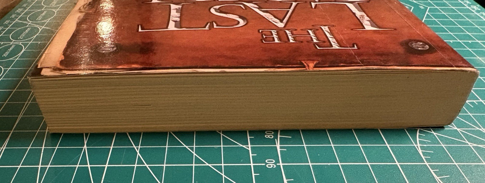 The Last Wish 1st English Ed Softcover Andrzej Sapkowski The Witcher Near Fine!