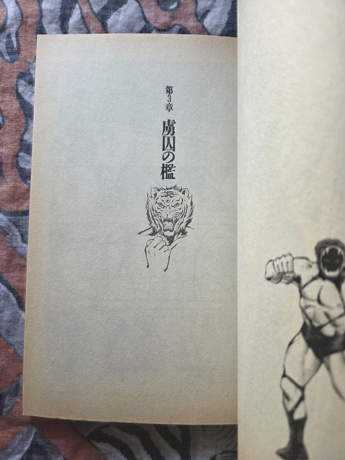 Kaze Shinobu Tiger Mask The Star 1993 Manga Japan UP Ckmics Action US Seller