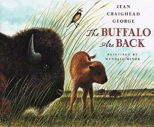 The Buffalo Are Back – Hardcover By George, Jean Craighead – GOOD