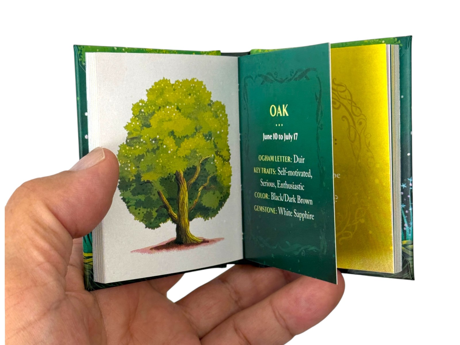 Celtic Astrology mini book hardcover 144 pgs illustrated wisdom tree calendar