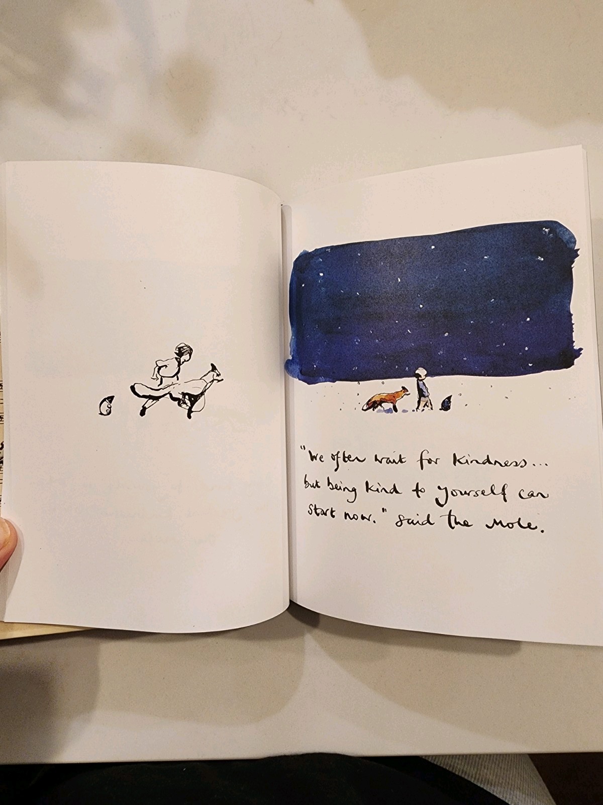 The Boy, the Mole, the Fox and the Horse – by Charlie Mackesy (Hardcover)
