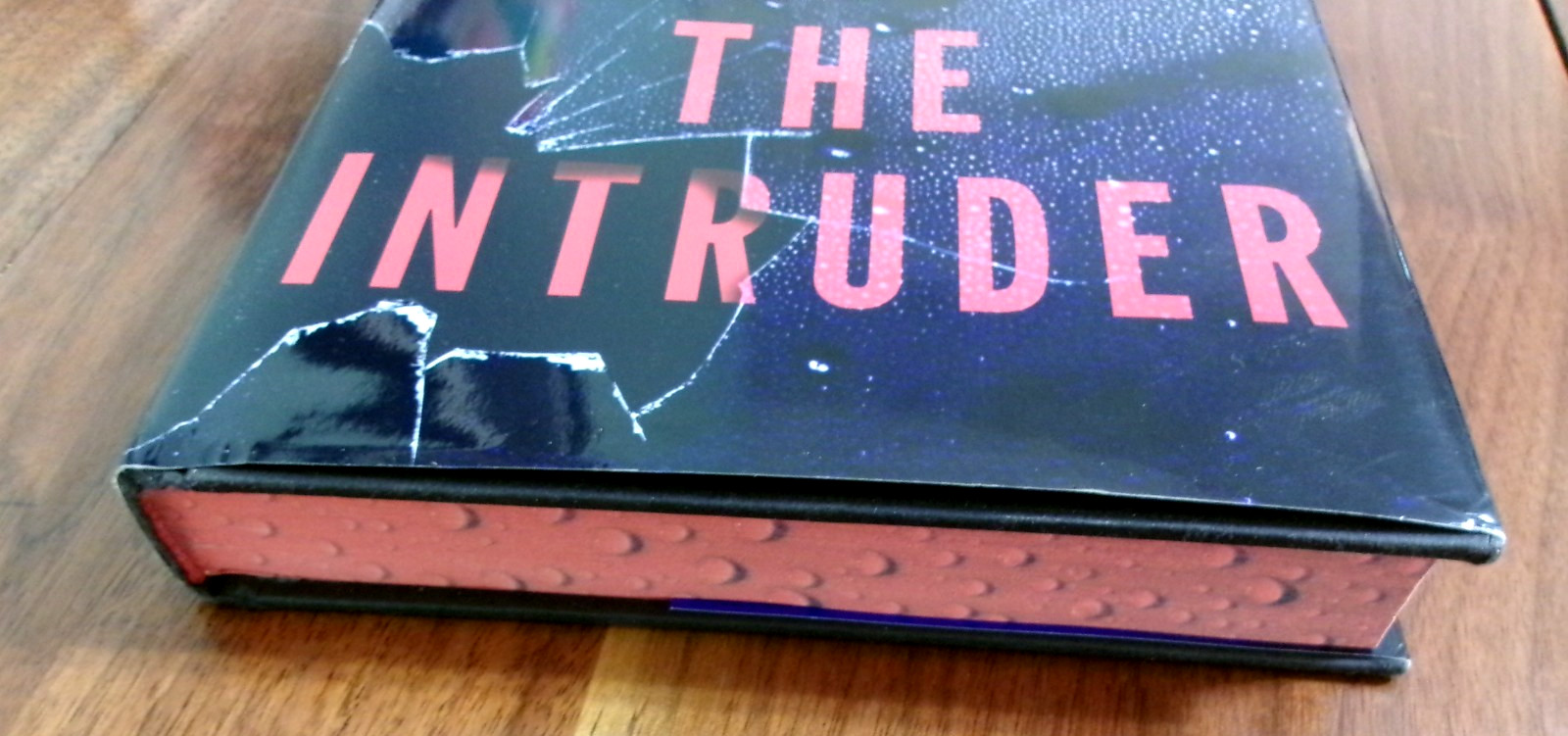 ‘The Intruder’ by Freida McFadden (2025 HC) NEW. Free Shipping 1st Edition