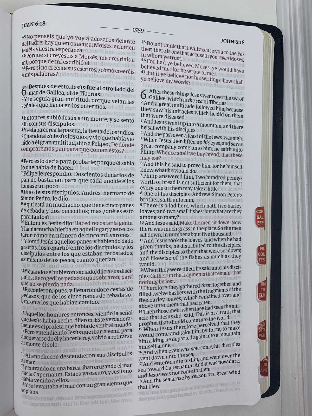Biblia Bilingüe RVR 1960/KJV Negro Imitación Piel con índice bilingual bible