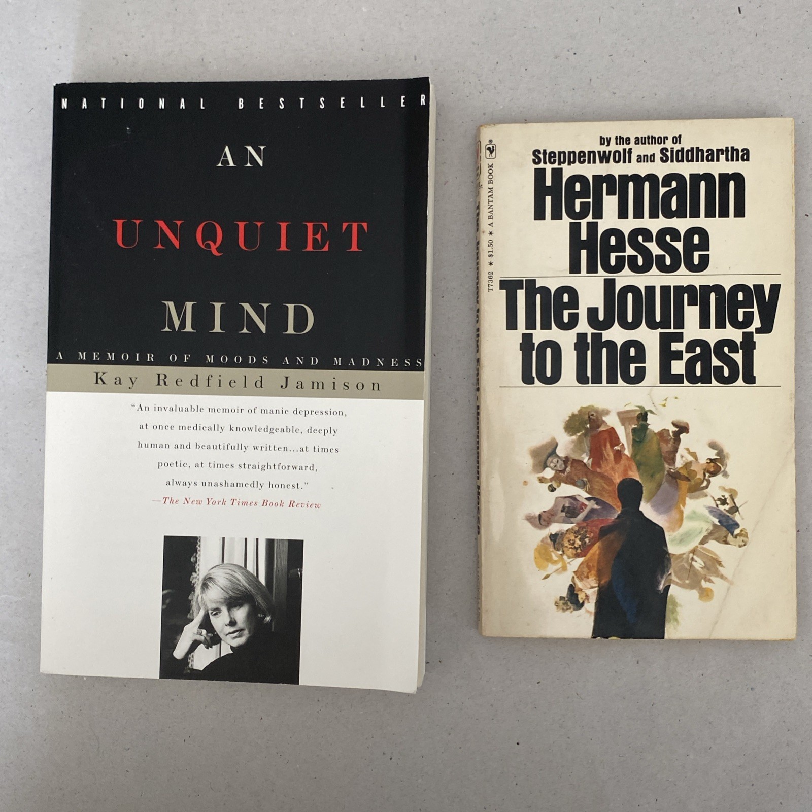 Jon Kabat-Zinn Mindfulness Lot 2x Full Catastrophe Living Hermann Hesse Jamison