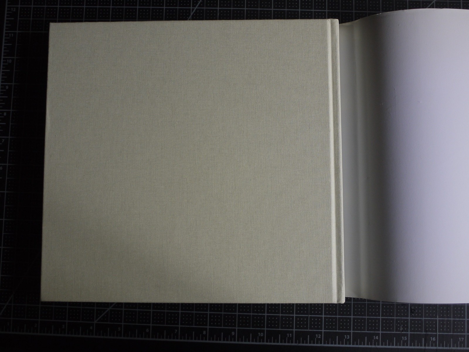 Coming to Light: Avery Gottlieb Rothko: Provincetown Summers 1957-1961 by Avery