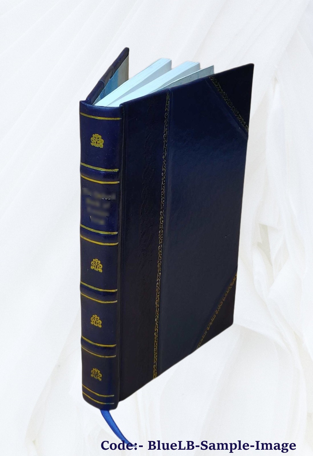 The Translated Bible 1534-1934 1934 by Martin Luther(Tr.) [Leather Bound]
