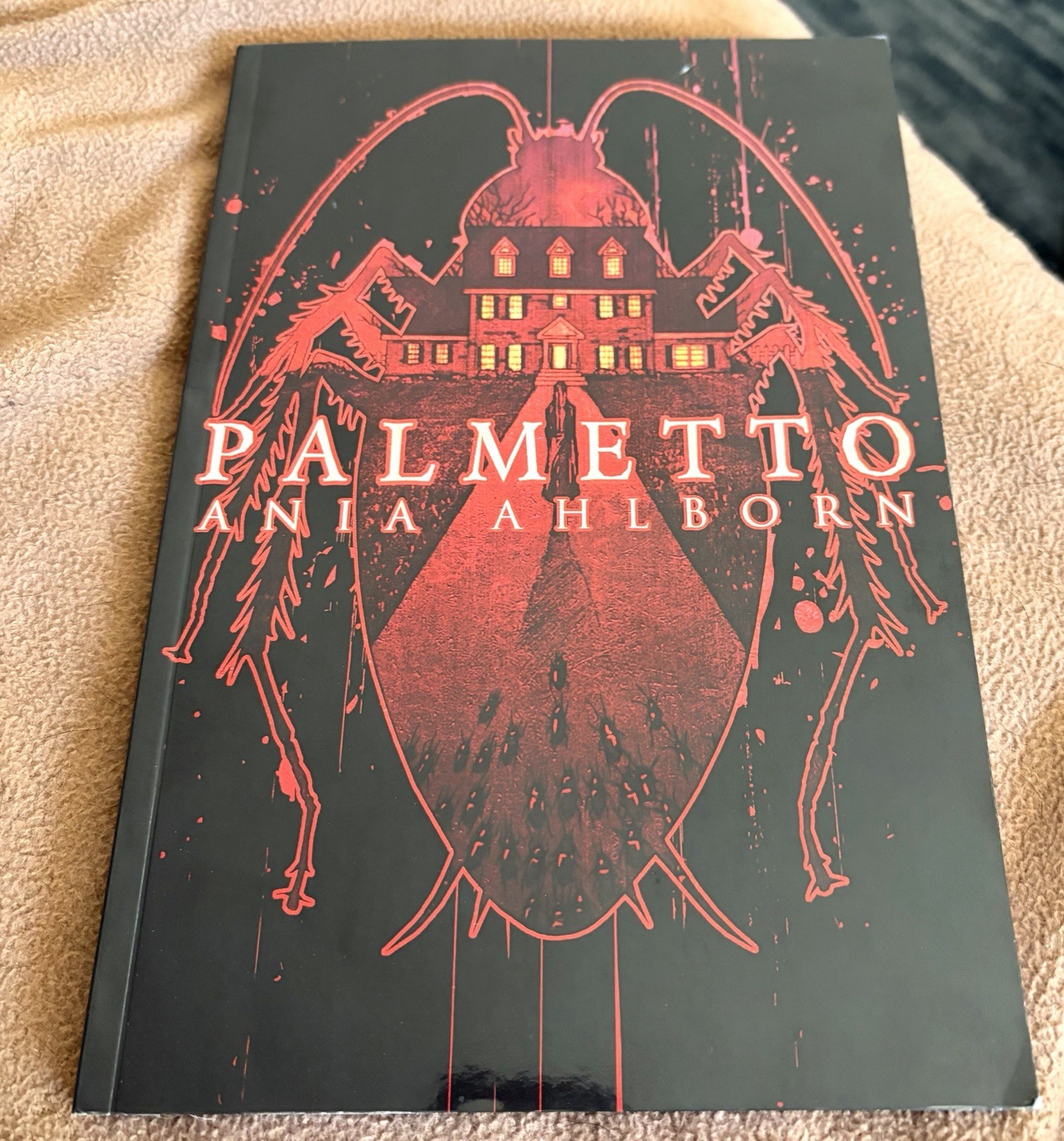 PALMETTO Ania Ahlborn Signed Limited Edition Thunderstorm Night Worms Books