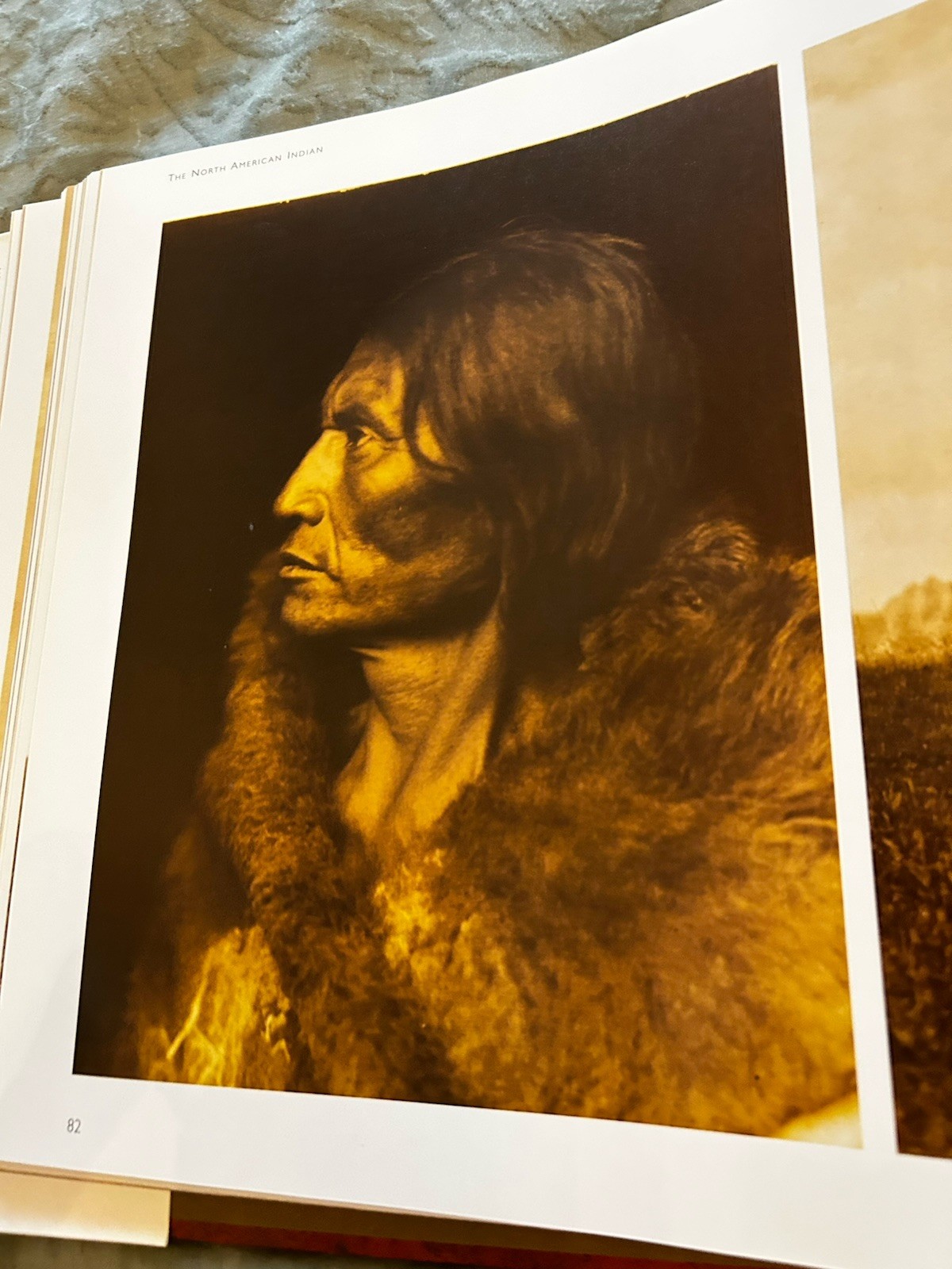 “Native Land Native People” From Edward S. Curtis Collection By Wayne Youngblood