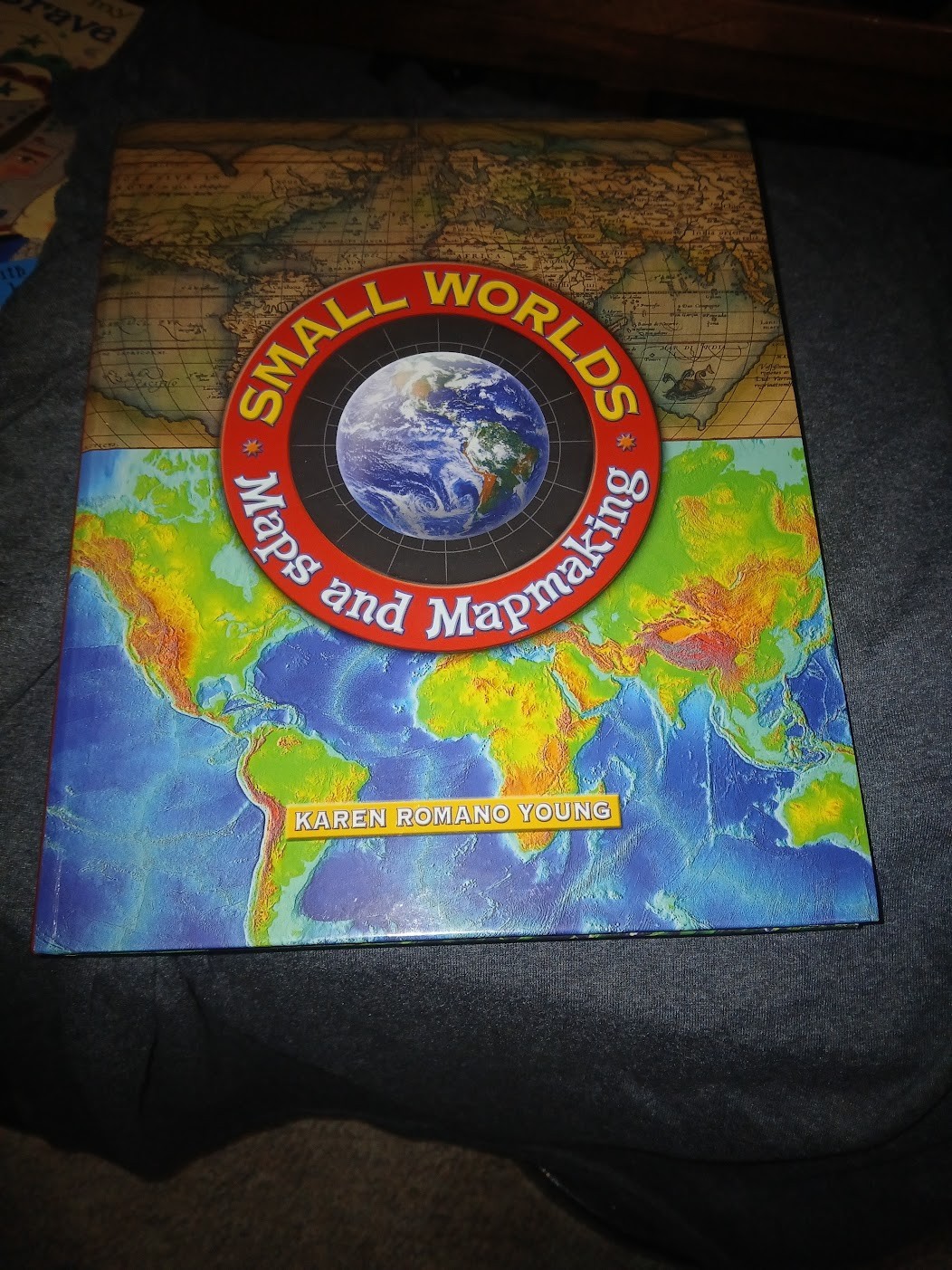 Small Worlds: Maps And Mapmaking – Hardcover By Romano Young, Karen – GOOD
