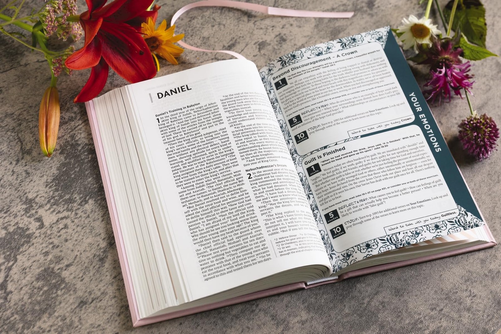 NIV, The Busy Mom’s Bible, Leathersoft over Board, Pink, Red Letter, Comfort…