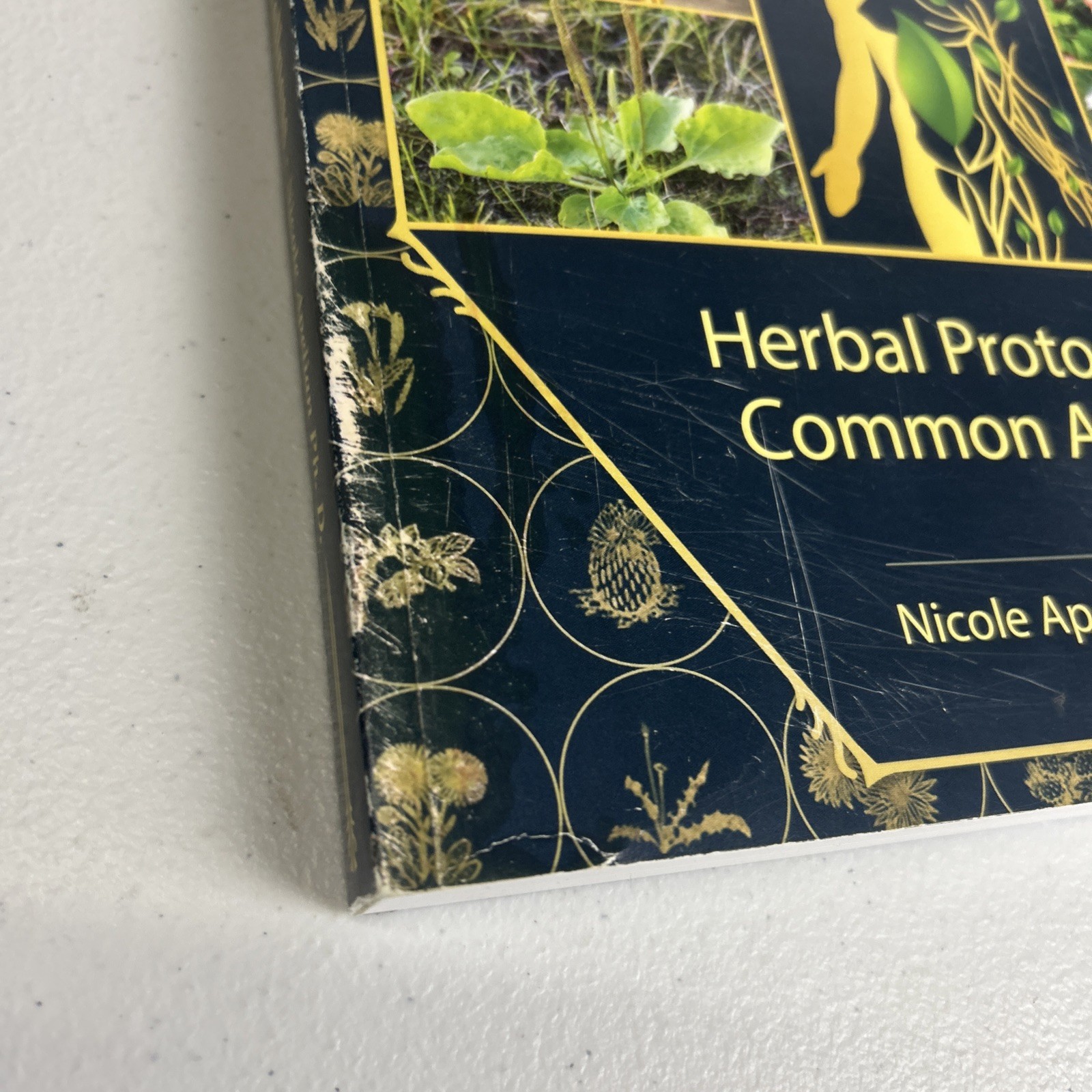 The Holistic Guide to Wellness: Herbal Protocols for Common Ailments. N. Apelian