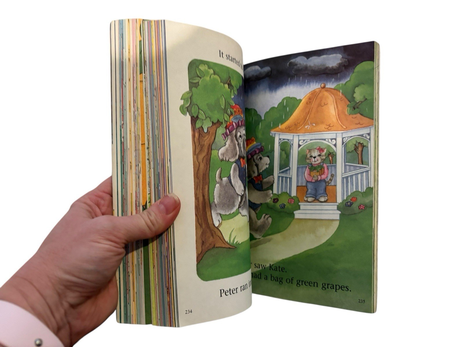 10 in 1 collection Ready Readers preschool kindergarten book homeschool Phonics