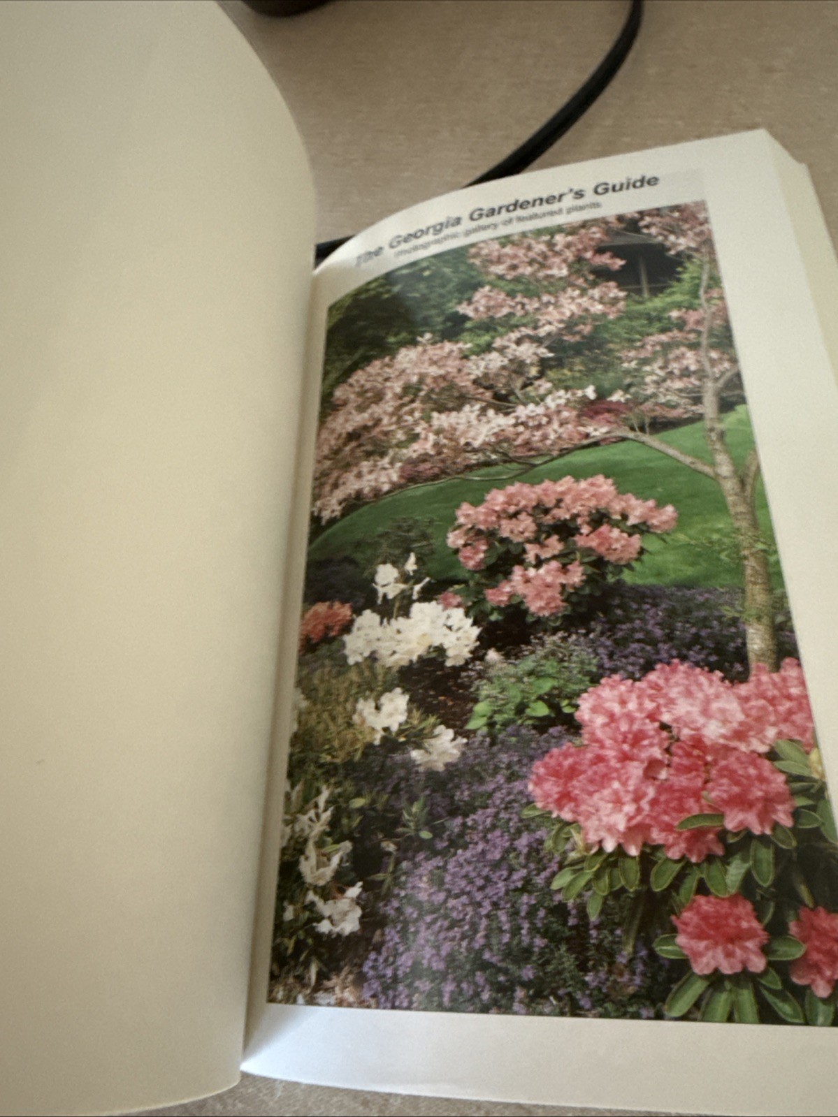 Georgia Gardener’s Guide by Walter Reeves and Erica Glasener (2001, Trade Paperb