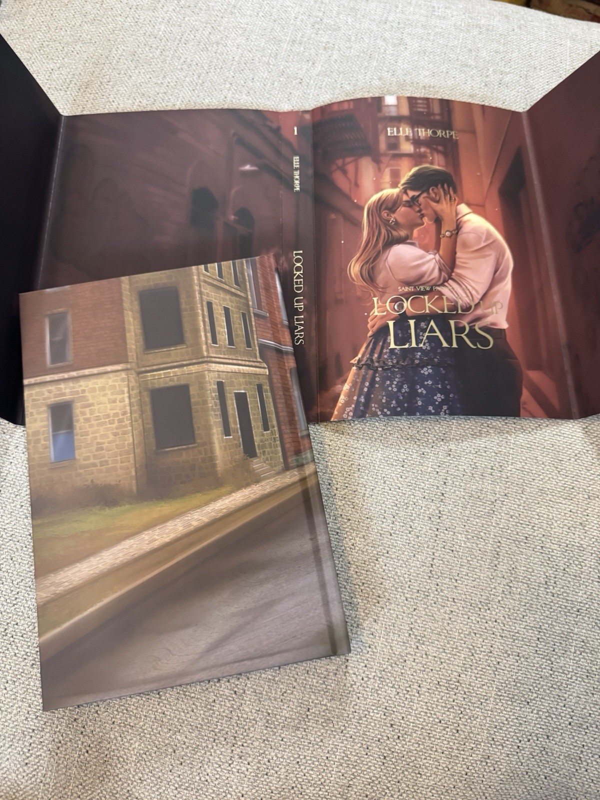 Elle Thorpe Saint View Prison Series Books For Days Crate Special Editions New