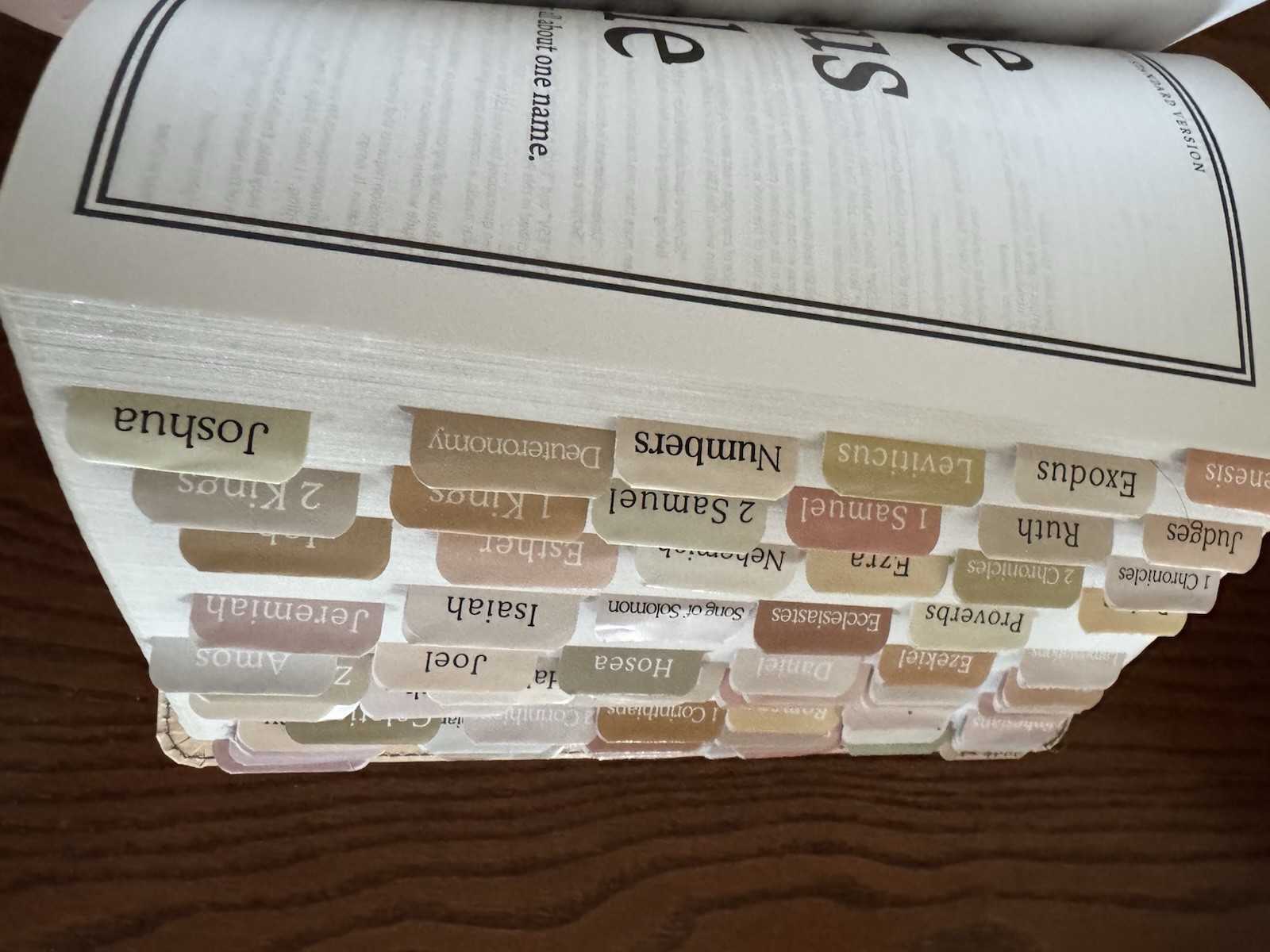 ESV The Jesus Bible in Light Peach Floral Leathersoft