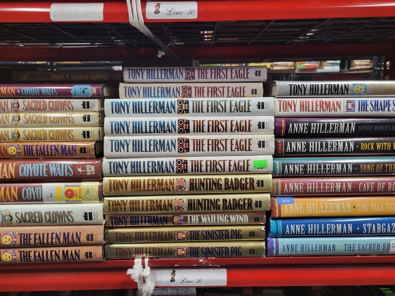 Leaphorn and Chee Series by Tony and Anne Hillerman – Choose Your Own Books Set