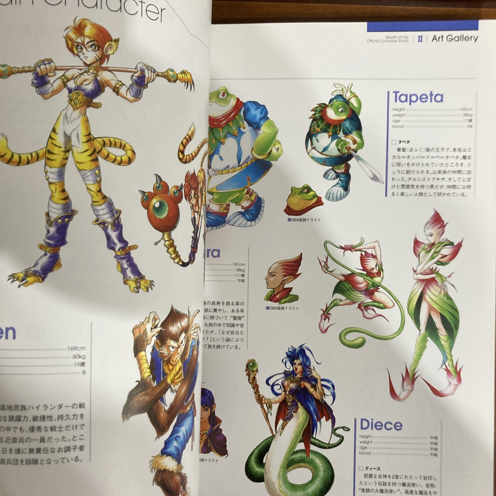 Breath Of Fire Official Complete Works Art Book Capcom Illustration
