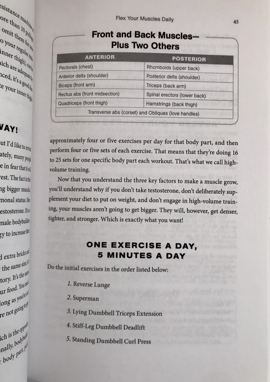 New HC 5 Pounds: The Breakthrough 5-Day Plan Jump-Start Rapid Weight Loss Book