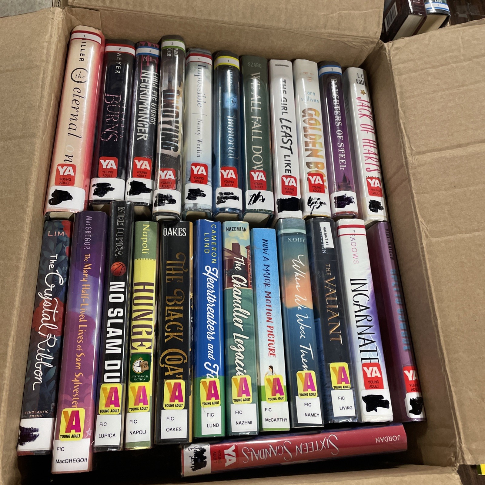 Lot of 24 Young Adults ex-library hardcover fiction mixed autors