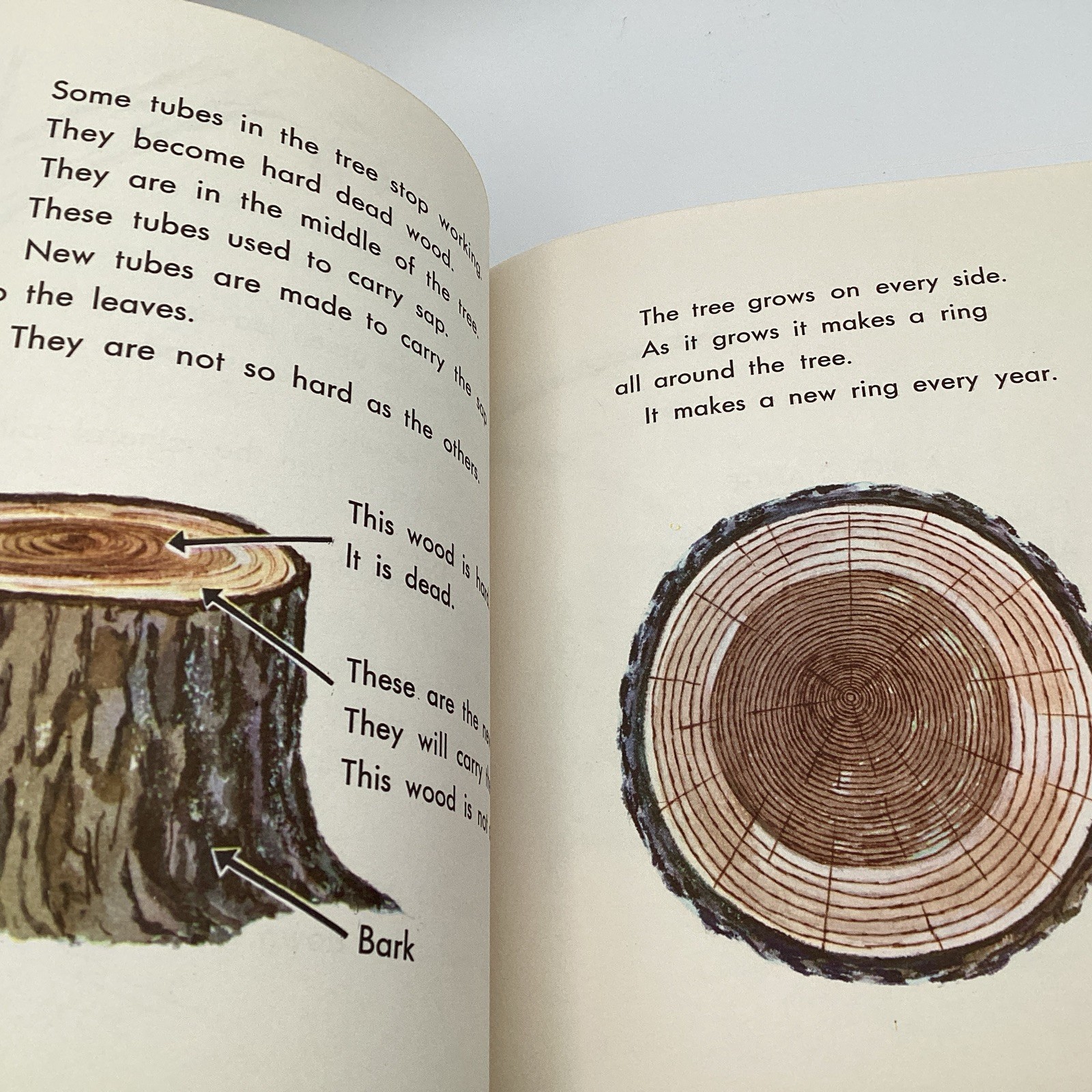 WHAT IS A TREE (The What Is It Series) by Gene Darby, Benfic Press, 1962