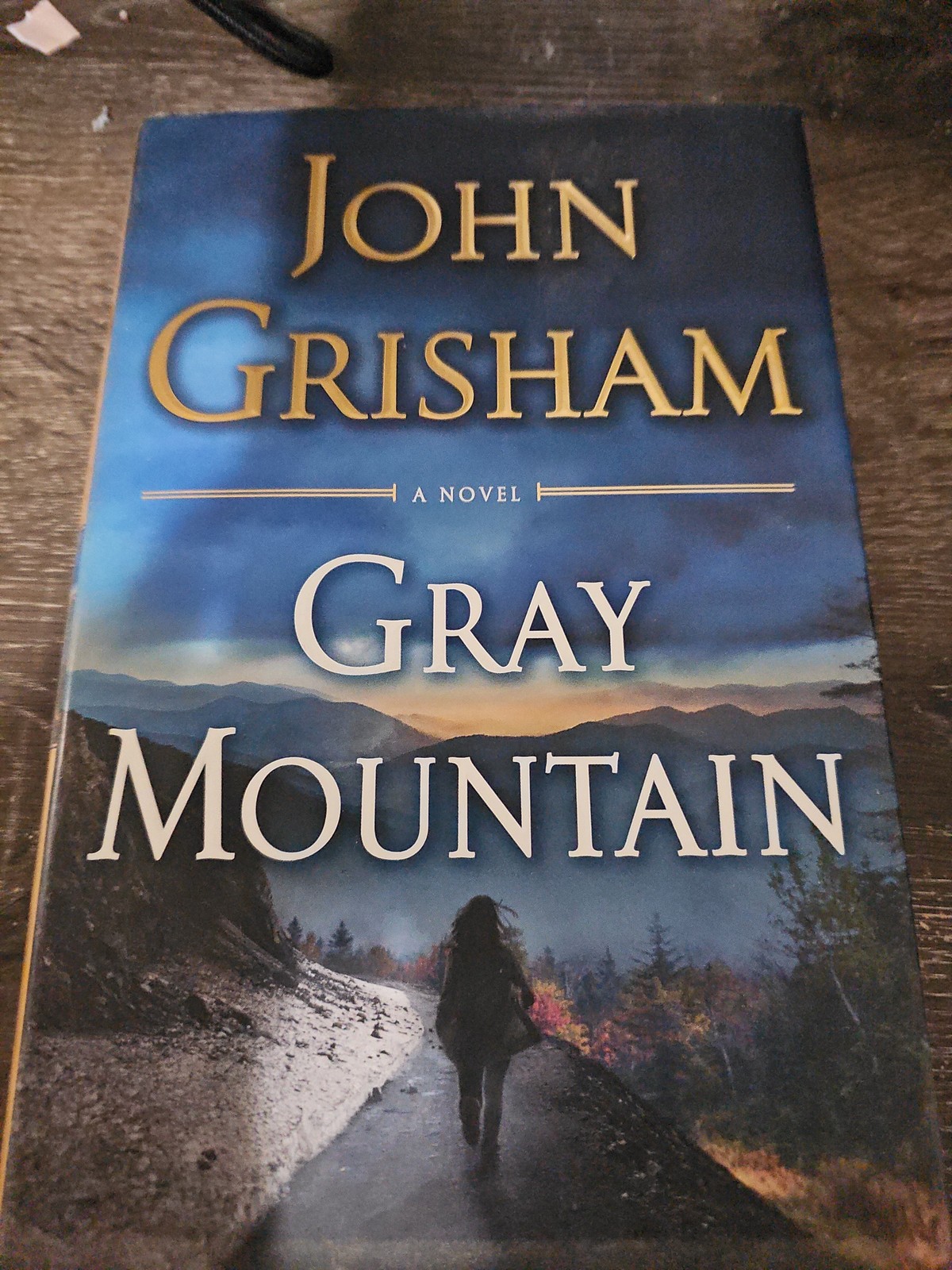 Gray Mountain by John Grisham – Legal Thriller – US Tall Rack Paperback – Used