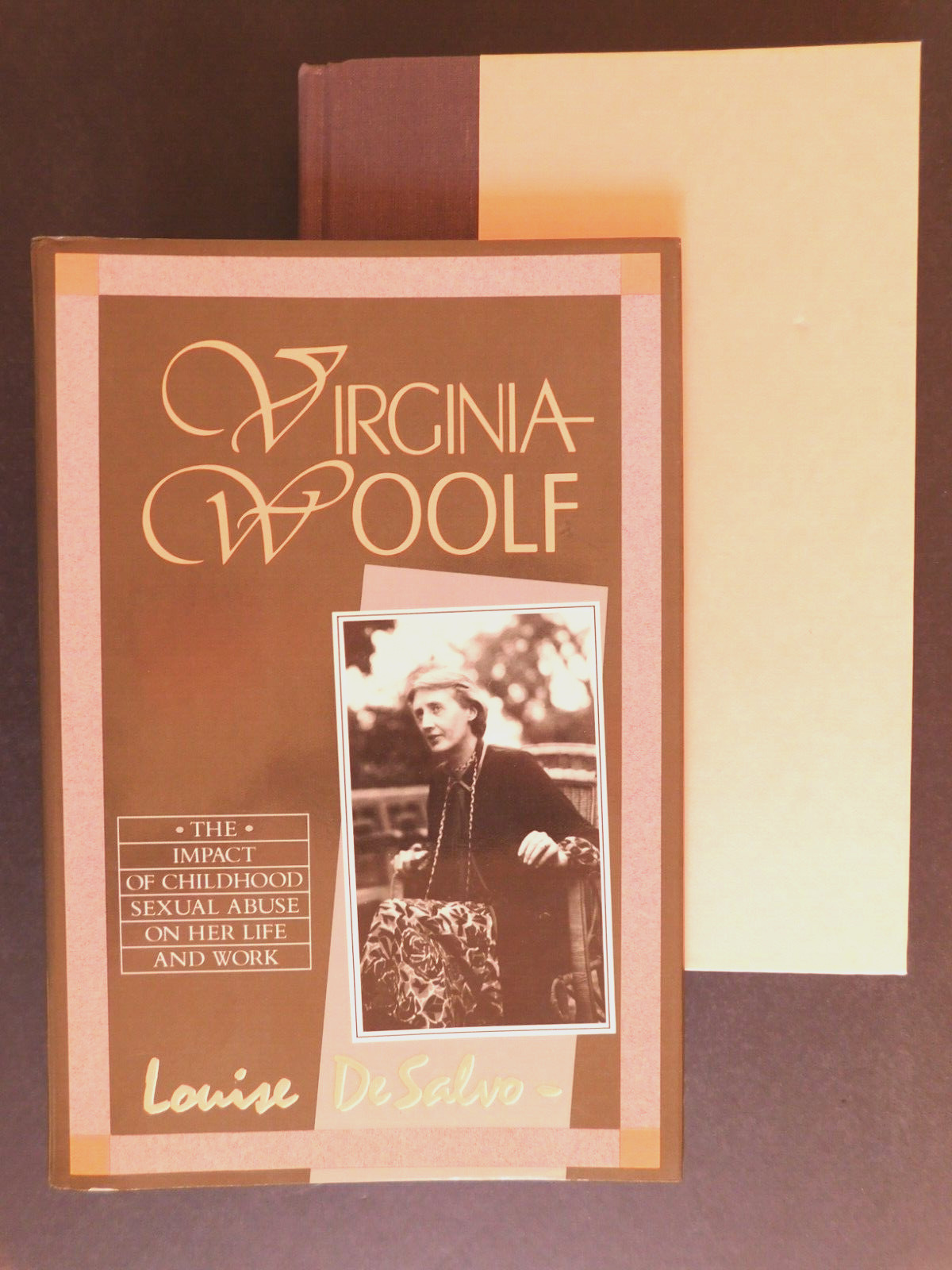 Biography VIRGINIA WOOLF Impact of Child Sexual Abuse by De Salvo 372 pages HCDJ