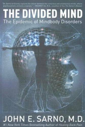 The Divided Mind: The Epidemic of Mindbody Disorders – Paperback – VERY GOOD