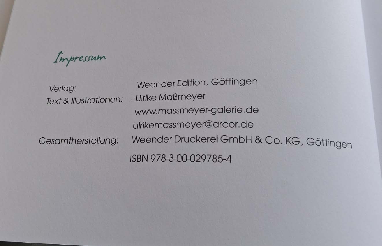 Ulrike Massmeyer – Plitsch & Platschi (Gebundene Ausgabe 2009) Topzustand