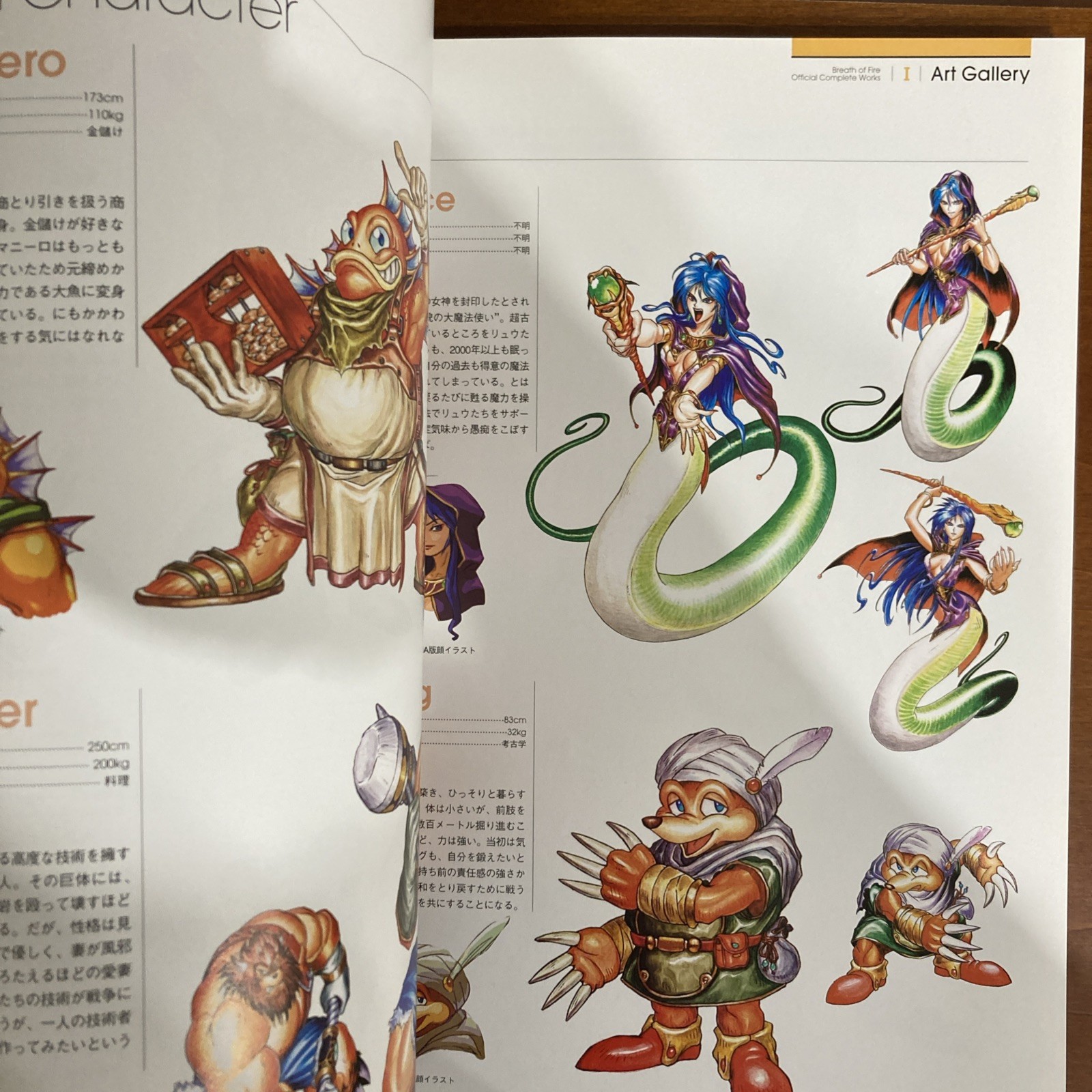 Breath Of Fire Official Complete Works Art Book Capcom Illustration