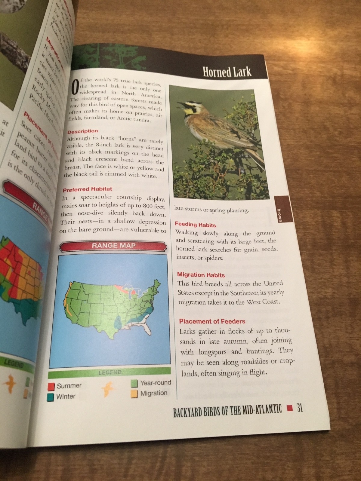 Field Guide to Backyard Birds of the Mid-Atlantic by Cool Springs Press (English