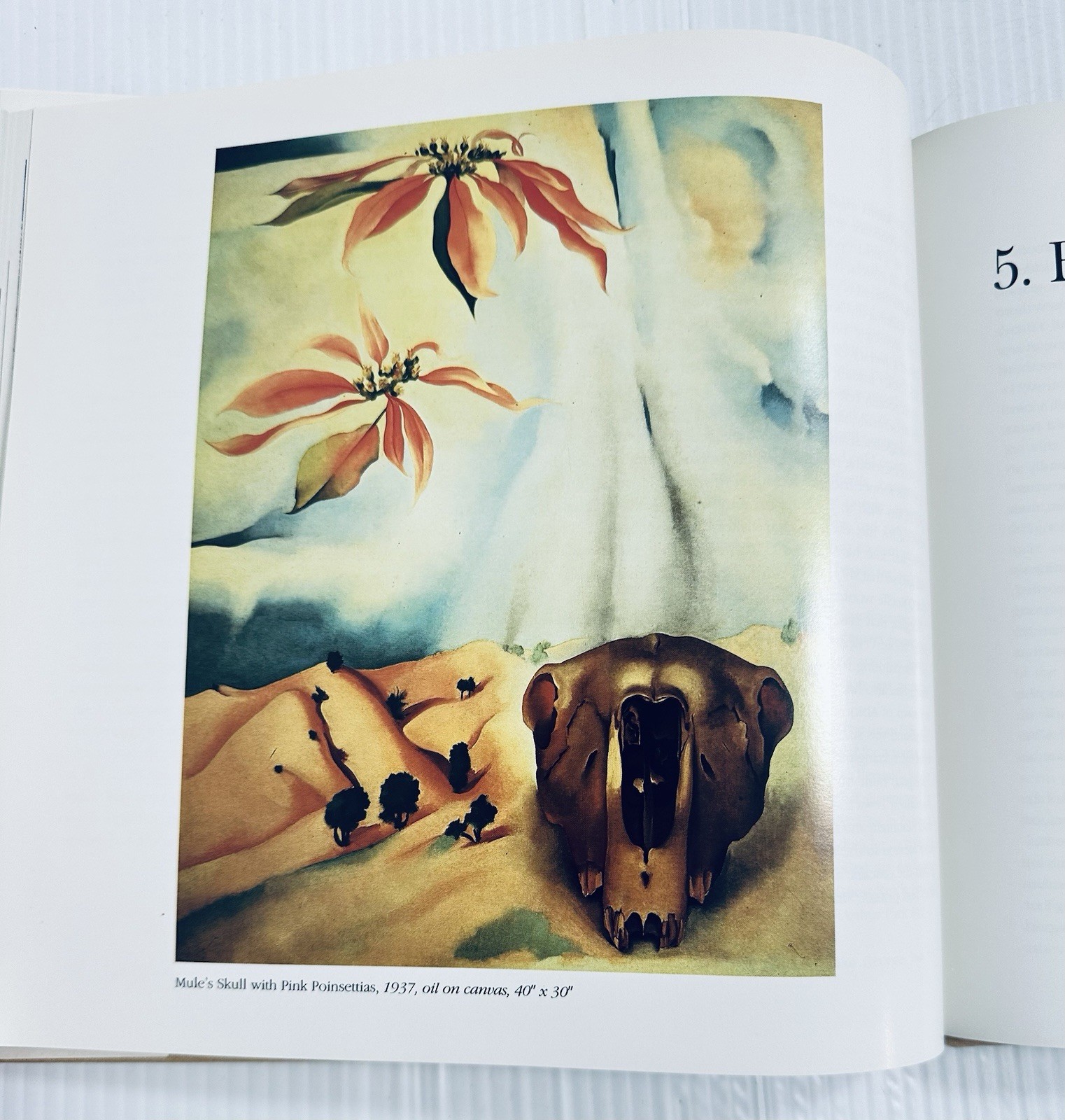 Georgia O Keeffe Art and Life Castro Book with 136 Color Illustrations Edition