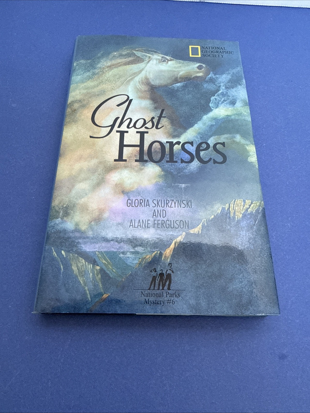 Lot of 10 ~ Hardcover Books ~ MYSTERIES IN OUR NATIONAL PARKS ~ #1-10 ~ VGC!