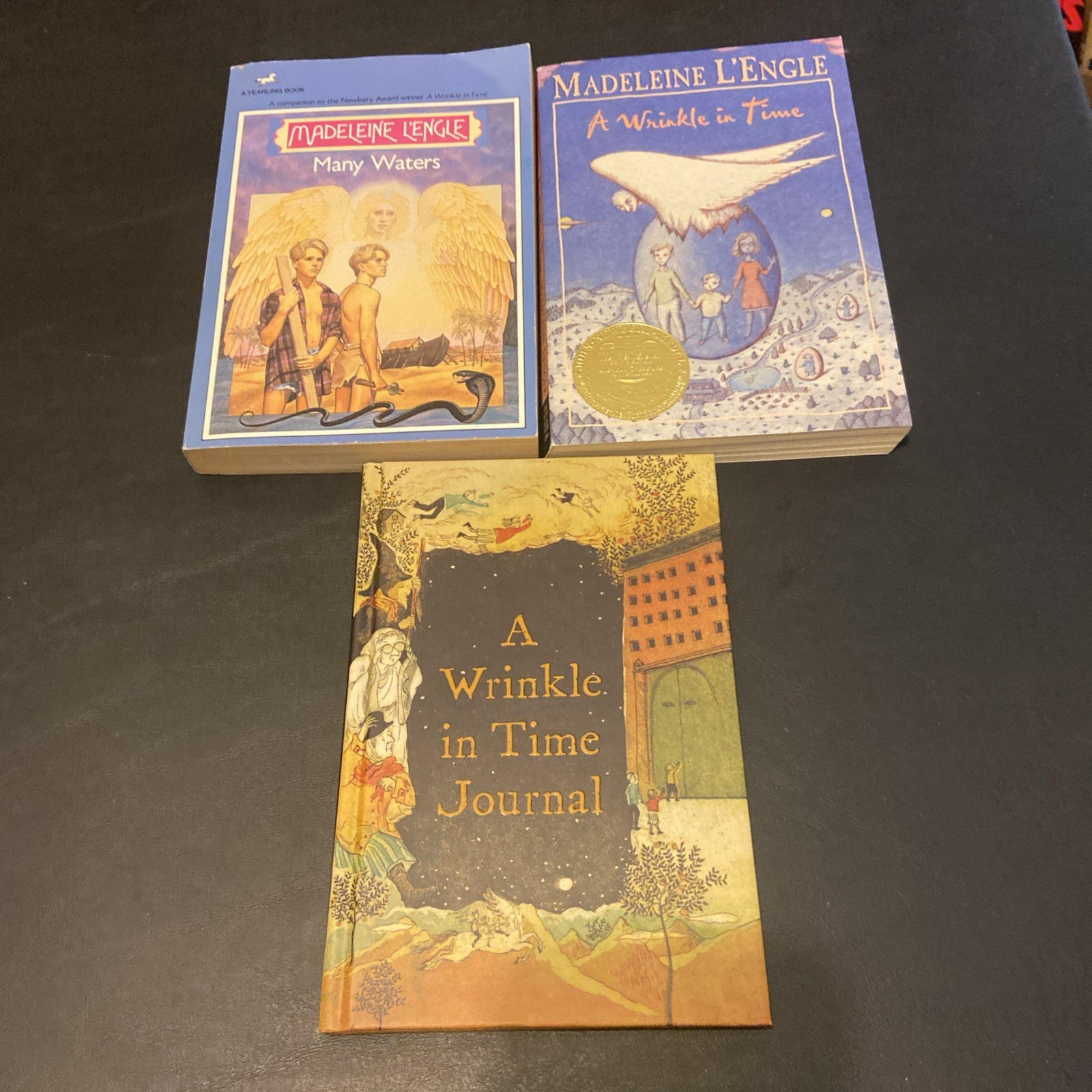 Madeleine L’Engle Fiction Lot Of 9 HCs & PBs Includes Journal G-VG Condition