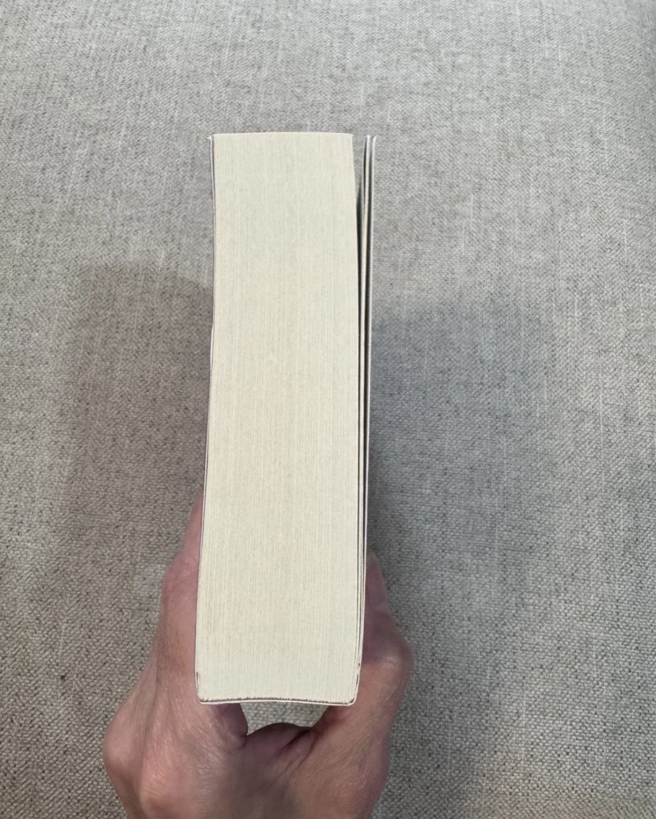 DireBound Sable Sorensen A Wolves Of Ruin Novel Out Of Print Indie Edition OOP