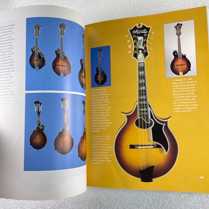 Acoustic Guitar Reference Book Lot of 3 by Fjestad, Gruhn, Carter – Various 2003