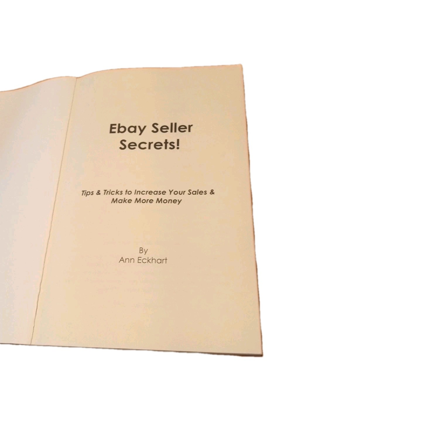 Ebay Seller Secrets by Ann Eckhart (2019, Trade Paperback) #ebay selling