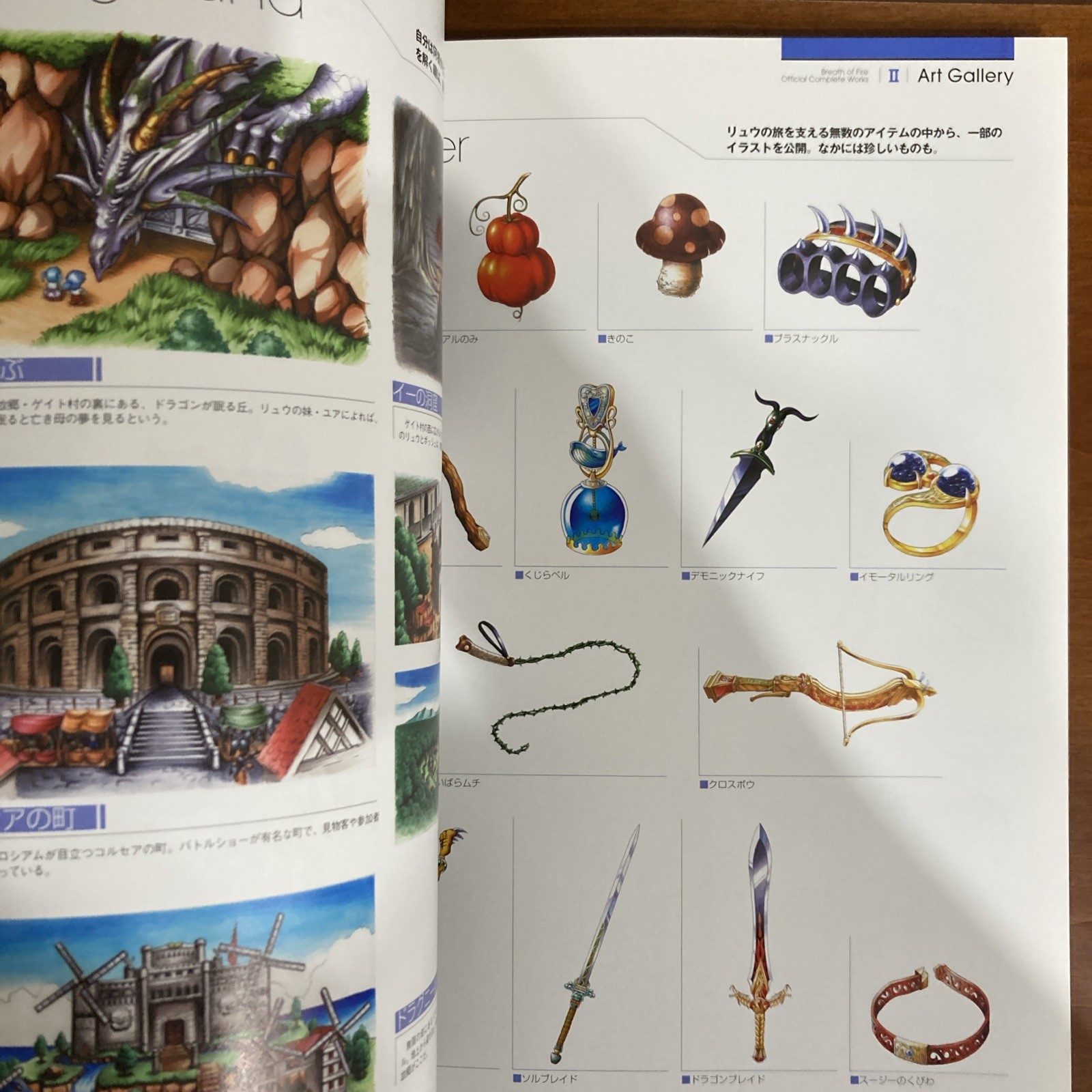 Breath Of Fire Official Complete Works Art Book Capcom Illustration