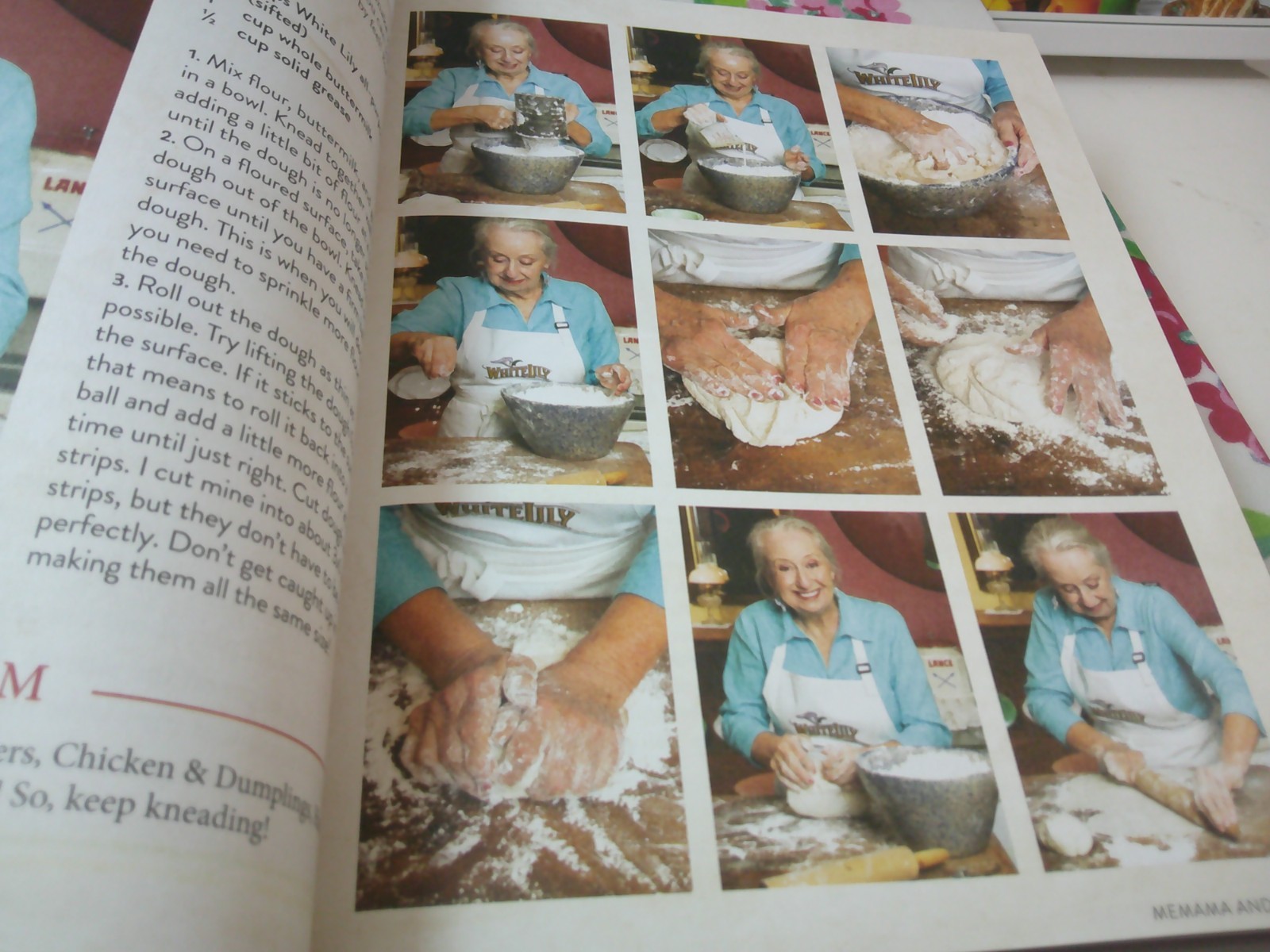 BRENDA GANTT ALL 3 COMPLETE COOKBOOKS + SOUTHERN MIRROR, ALL STILL IN BOX