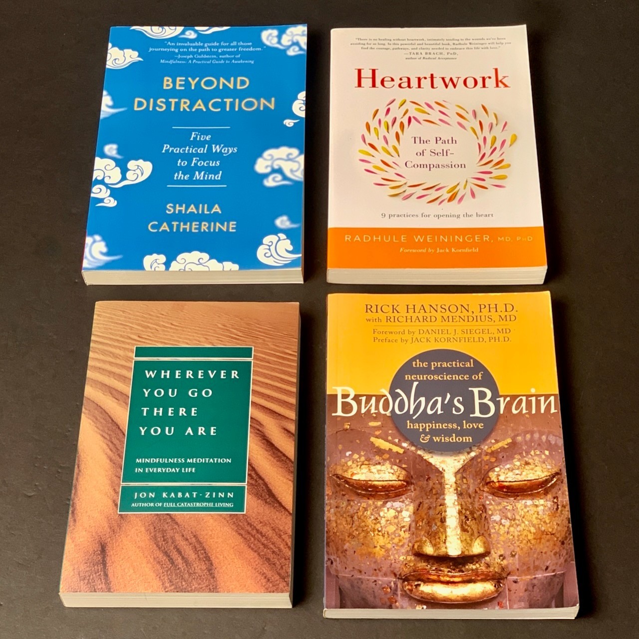 Mindfulness Meditation – Lot of 4 – Jon Kabat-Zinn, “Buddha’ Brain” – Softcover