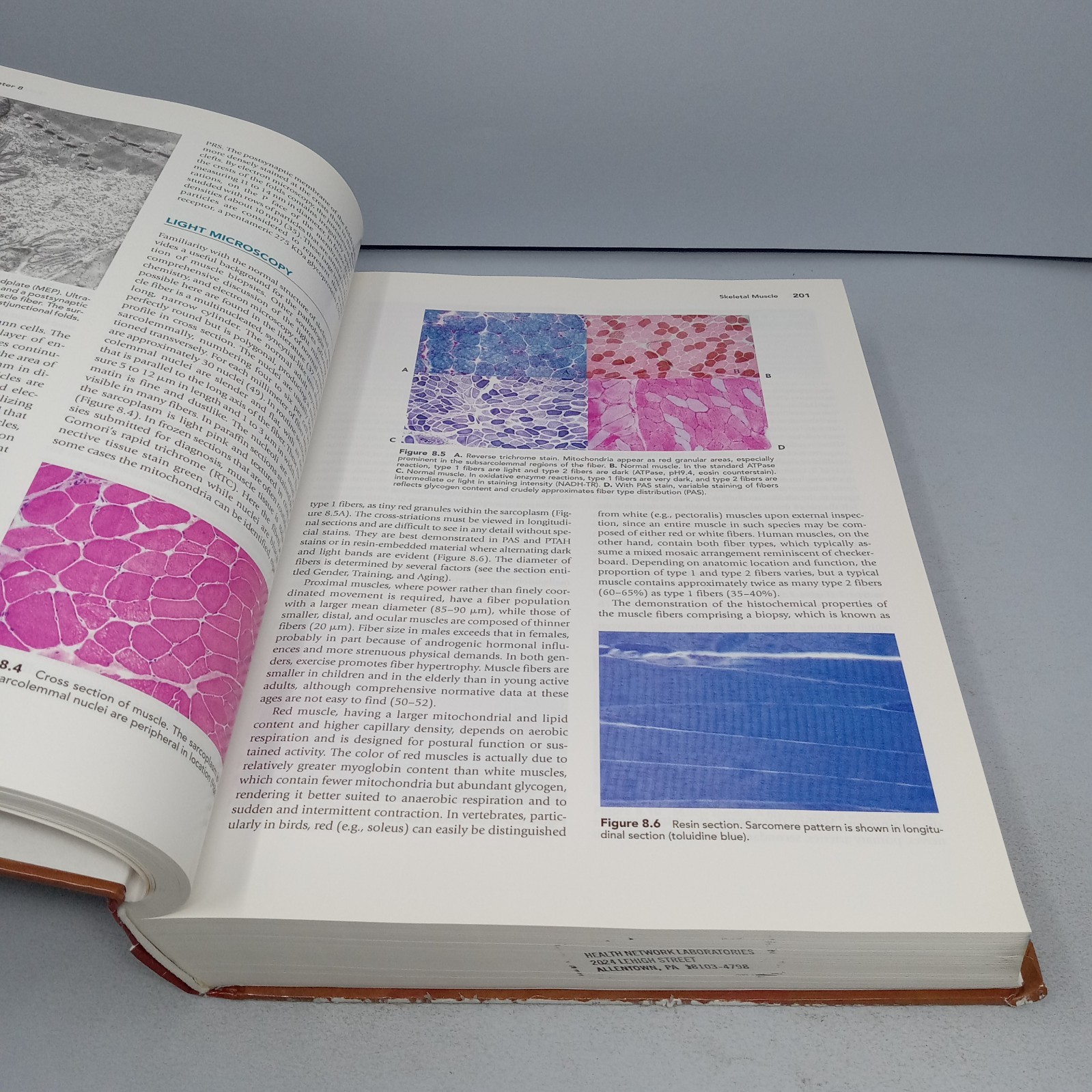 Histology for Pathologists: 3rd Edition 2007 Hardcover by Stacey E. Mills