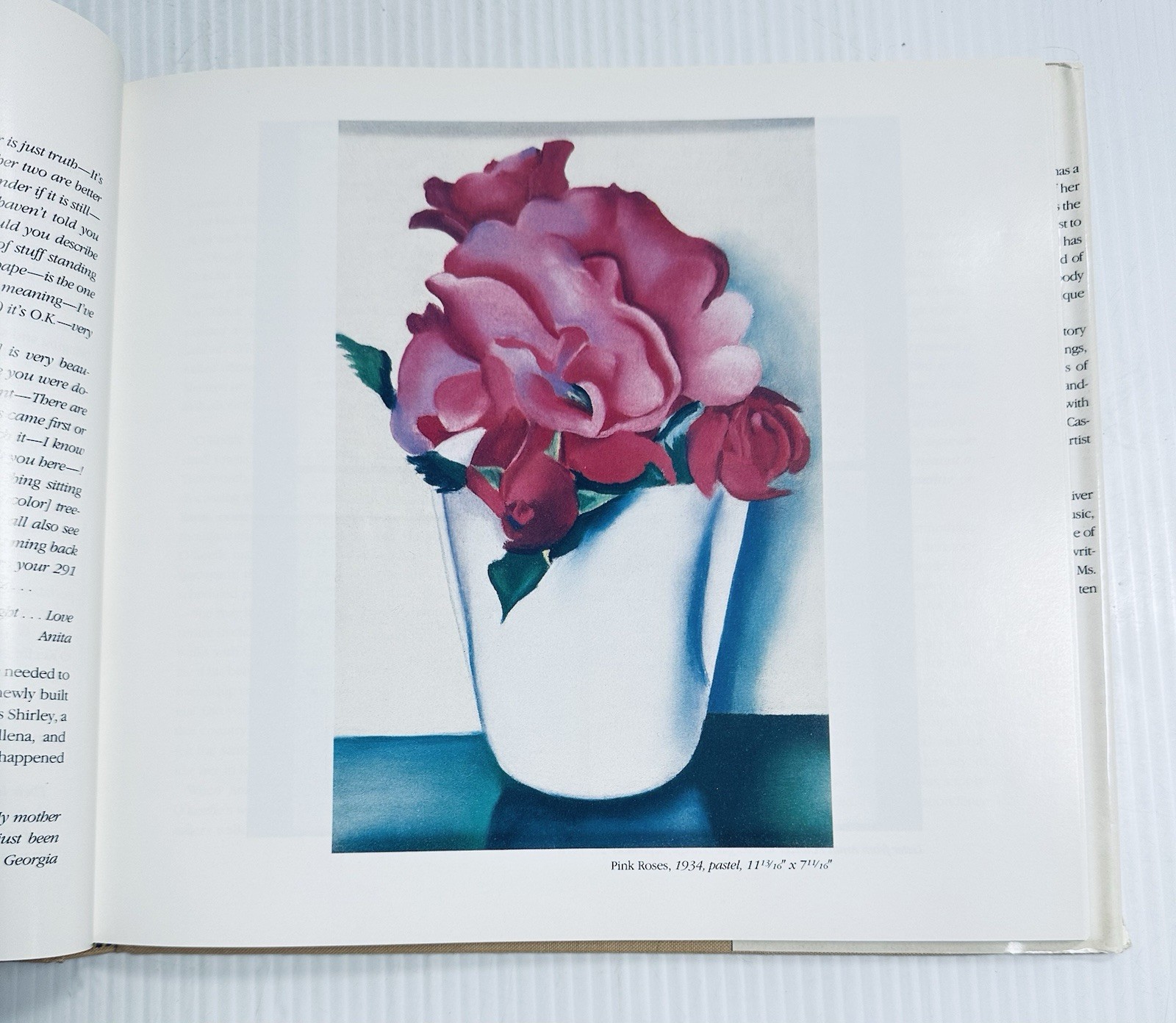 Georgia O Keeffe Art and Life Castro Book with 136 Color Illustrations Edition