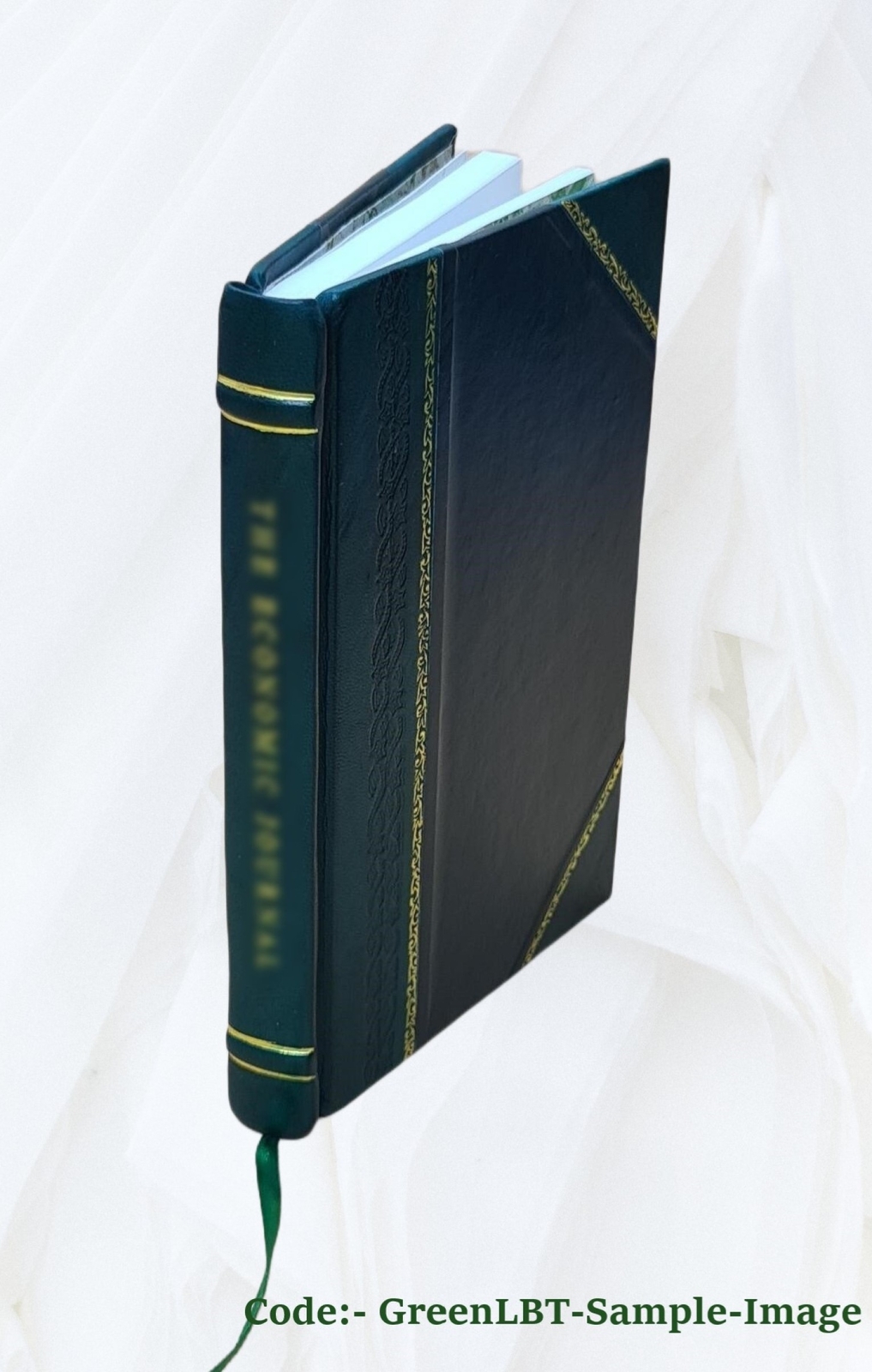 Independent or democratic church government : The divinely appoi [Leather Bound]