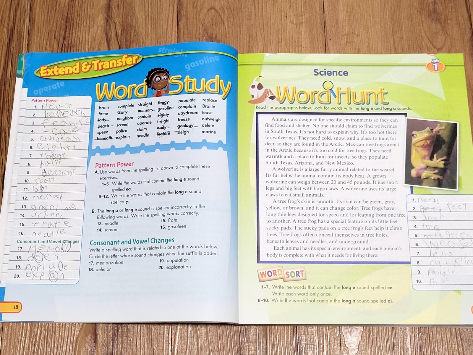 🔥 Spelling Connections Grade 5 (Paperback) Zaner-Bloser 336 Pages