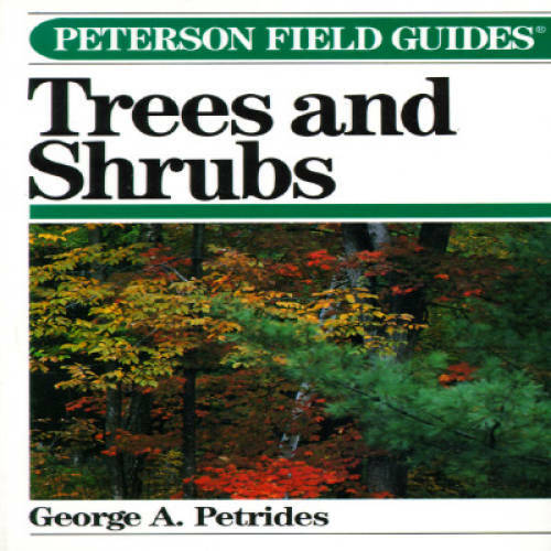 A Field Guide to Trees and Shrubs (Peterson Field Guides) – Paperback – GOOD
