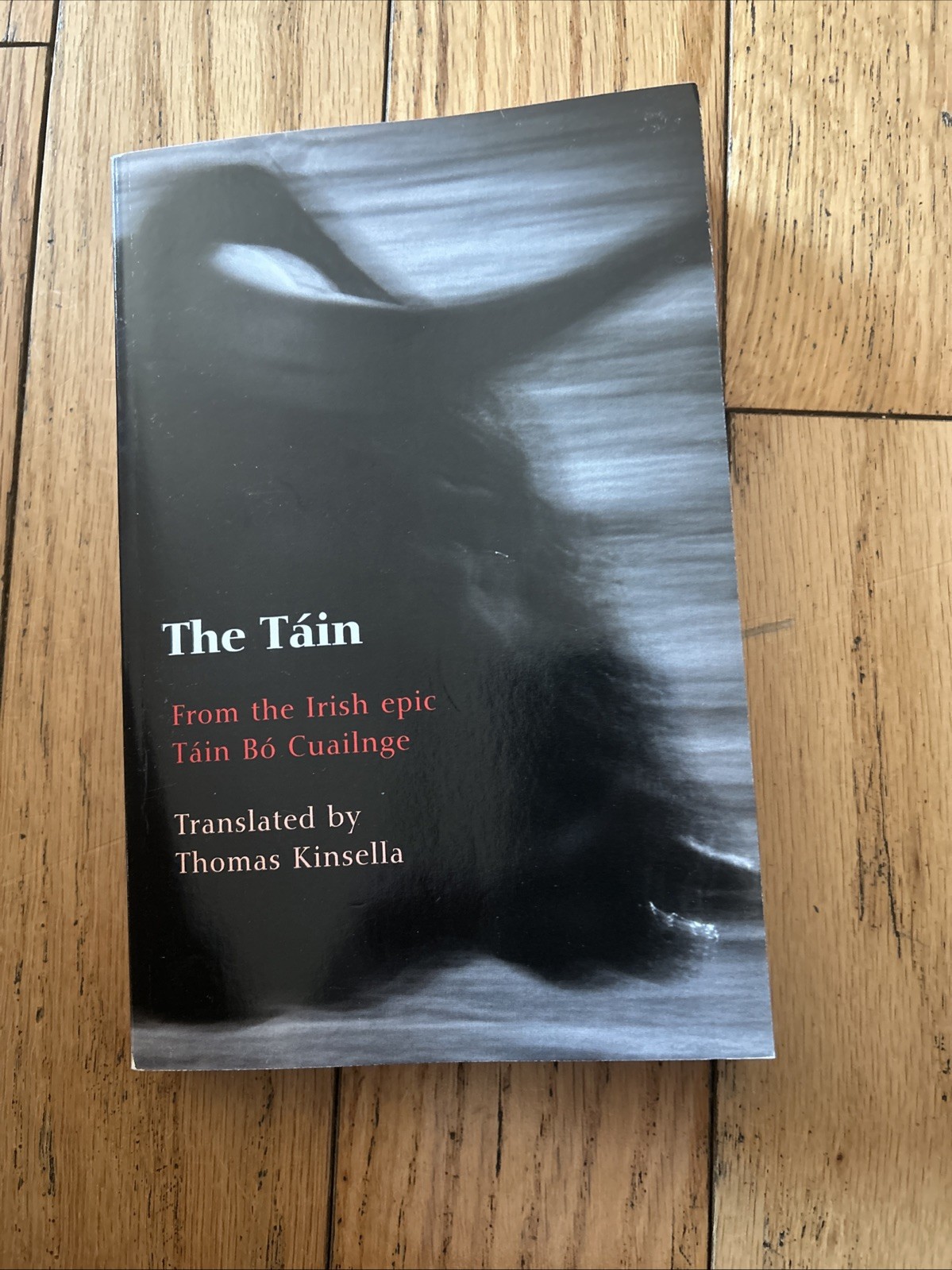 Táin by Thomas Kinsella (2002, Uk-Trade Paper) EUC